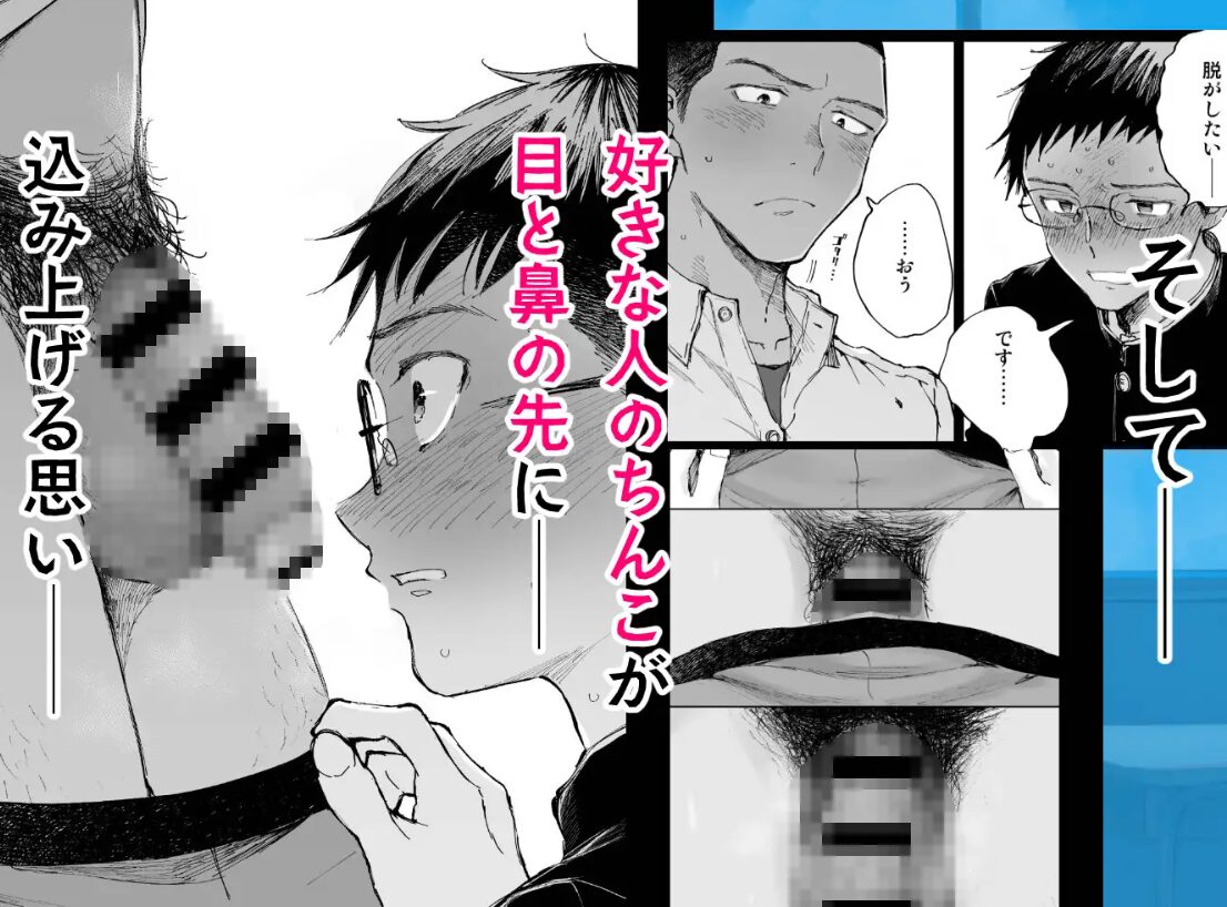 君のちんこが見たかった。無料raw,hitomi,momongaで読むとどうなる？