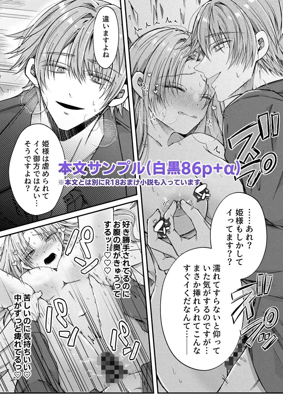 姫様に忠誠を誓ったはずの軍人は、逆に誓いを求める狂犬になりました漫画raw無料dlできるのはどこ?