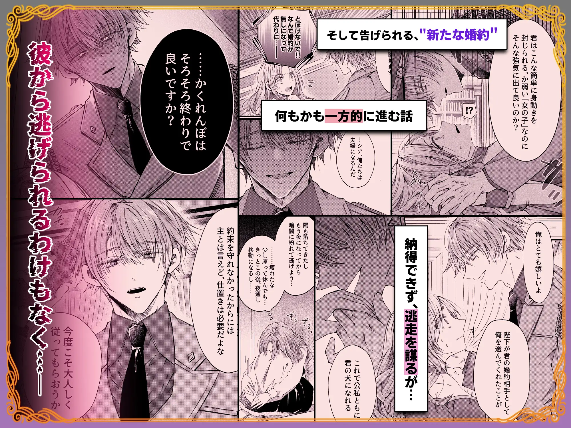 姫様に忠誠を誓ったはずの軍人は、逆に誓いを求める狂犬になりました漫画raw無料dlできるのはどこ?