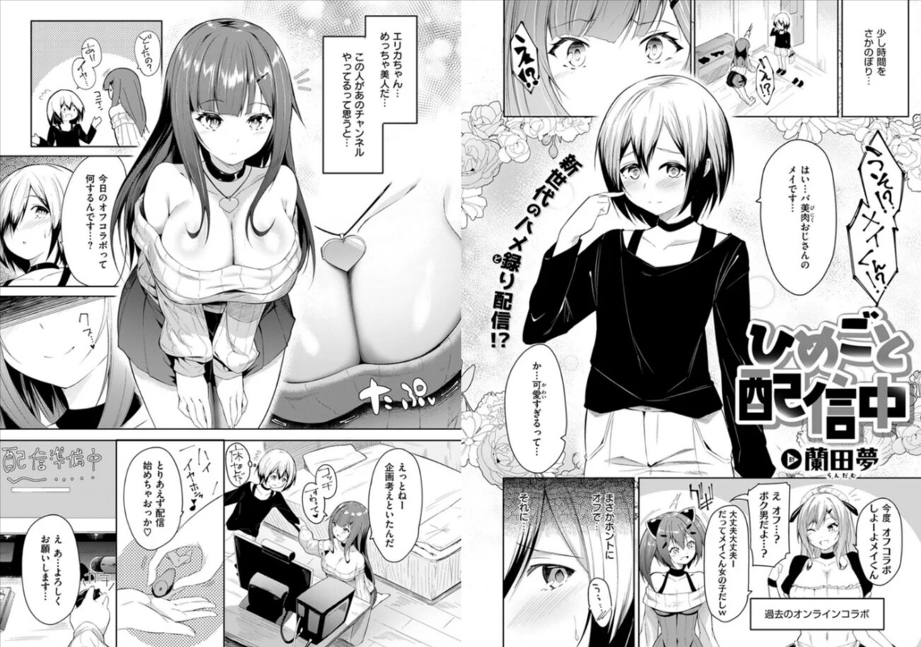 ひめごと配信中hitomi,momonga,wnacg蘭田夢安全にエロ漫画dlする方法は?